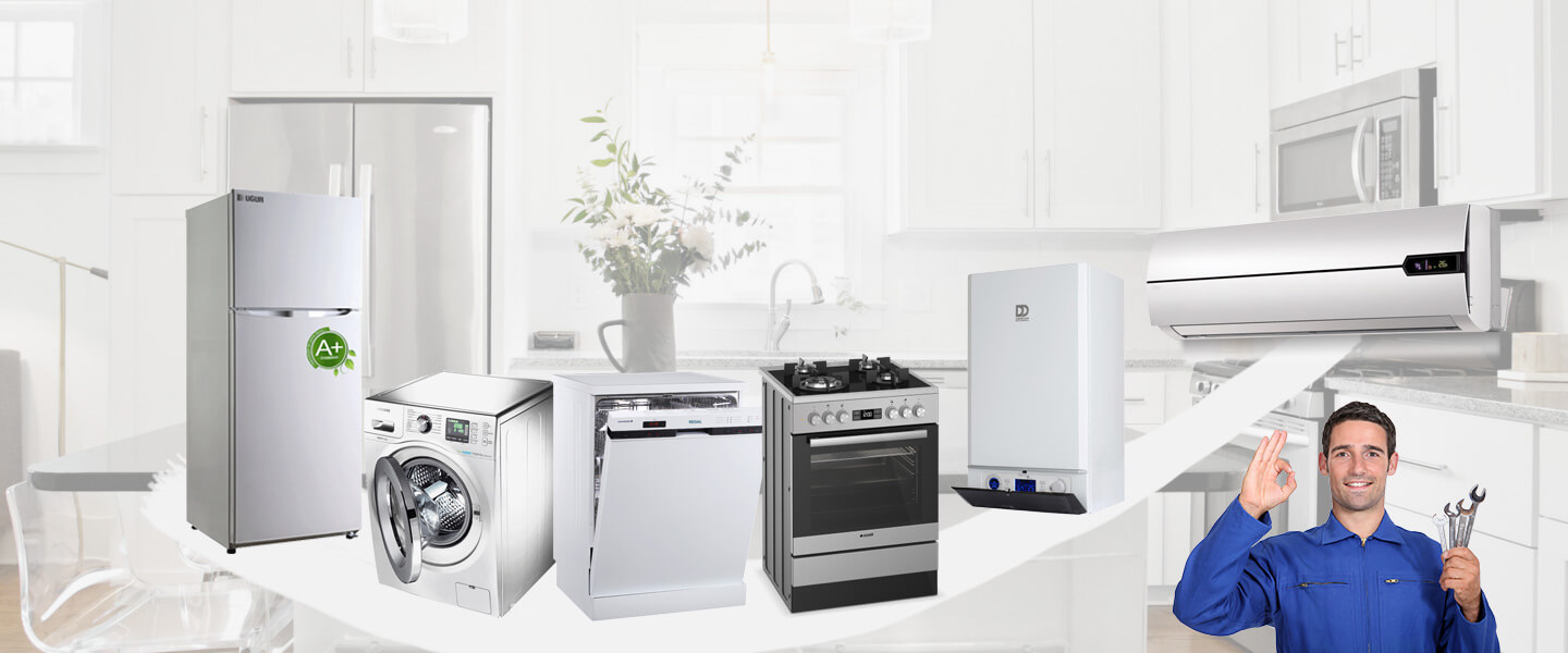 Silifke Smeg Servisi